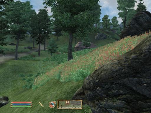 Elder Scrolls IV: Oblivion, The - Дневник имперского гастарбайтера. Том третий.